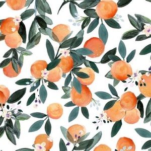 Meet your Posher, Maggie